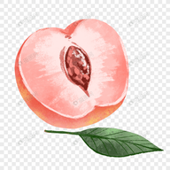 黄游下载APPAPP应用