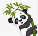 色多多网站APP应用